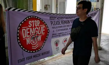Resurgence of previously dominant dengue virus strain could lead to surge in cases: NEA