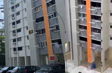 Monkeys in Clementi estate: 'They're getting more aggressive,' says resident