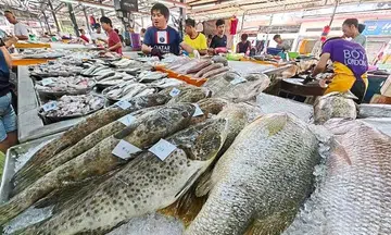 Garoupa may be scarce in M'sia as supply falls amid rains