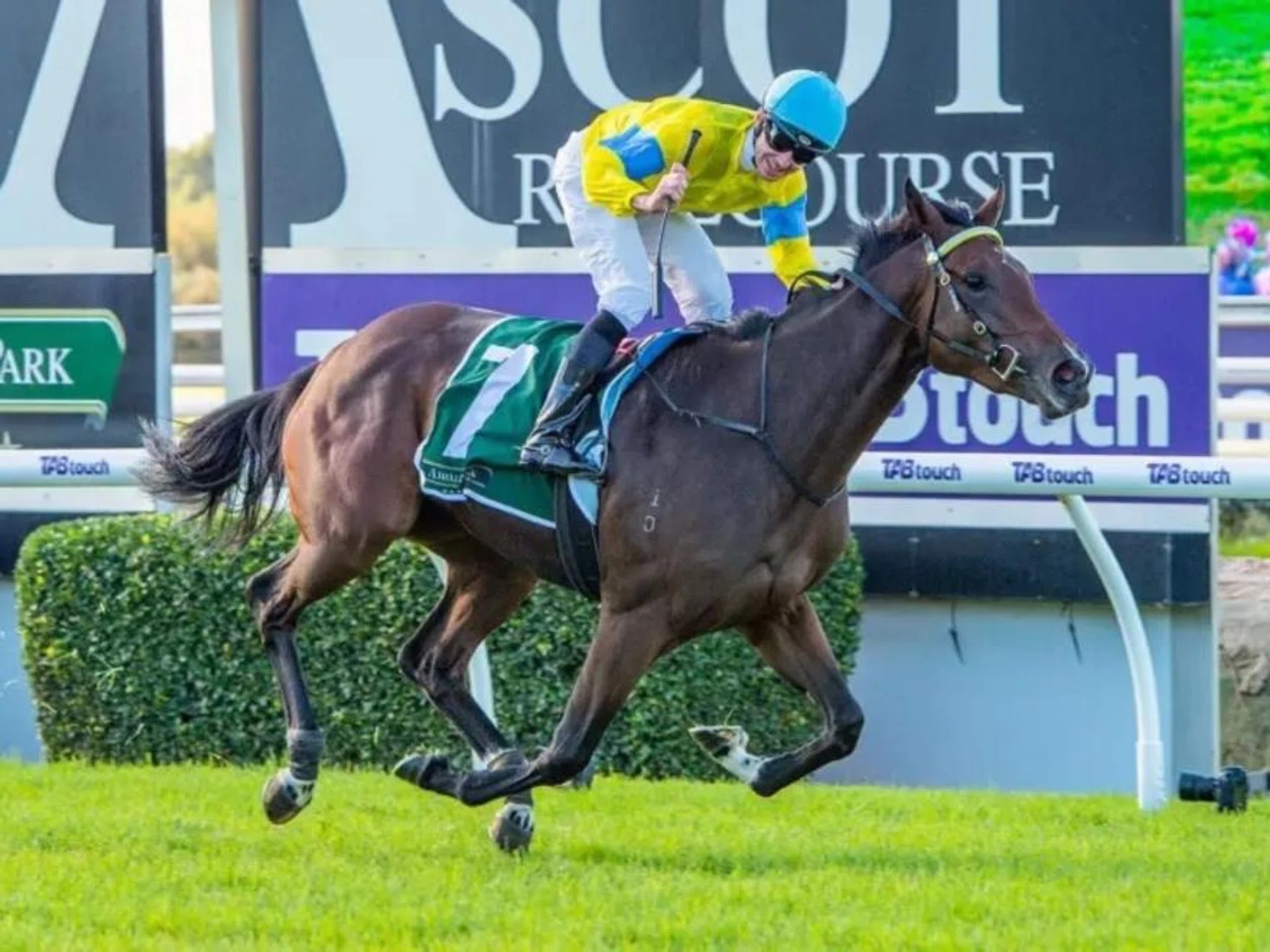 Super Smink will have her 2YO campaign-winning partner Chris Parnham in the irons in the Group 1 Northerly Stakes (1,800m) at Ascot on Dec 7.
