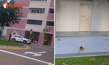 Resident calls police after flower pot falls from height in Pasir Ris