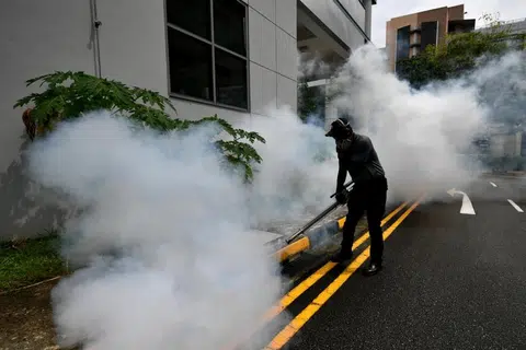 Dengue is not 'next Covid-19', but threat must still be taken seriously: Experts