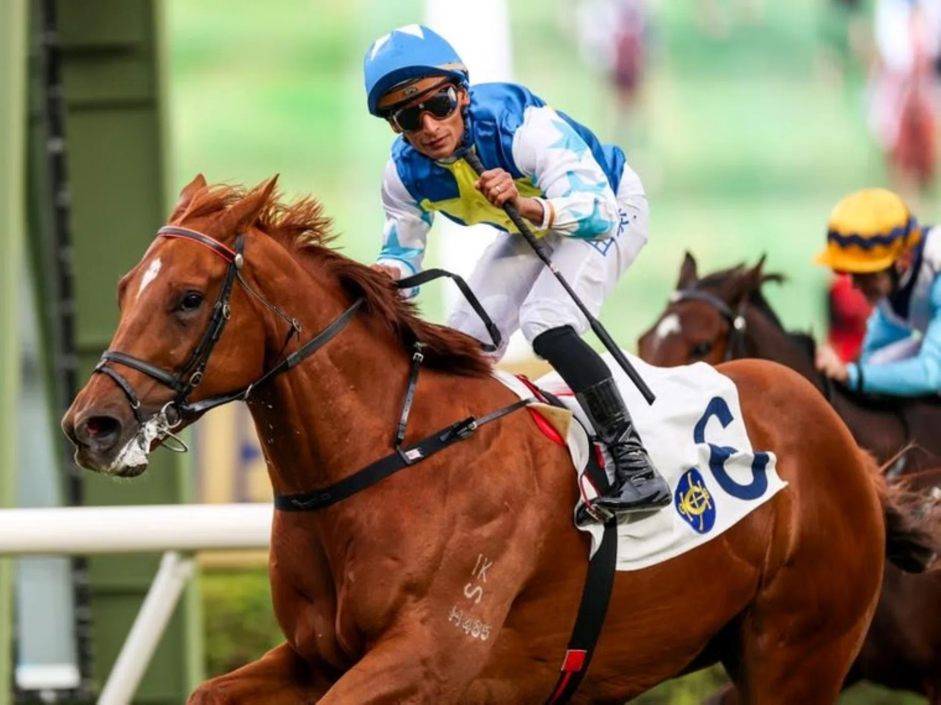 The Francis Lui-trained Patch Of Theta (Karis Teetan) winning the Group 3 Chinese Club Challenge Cup (1,400m) at Sha Tin on Jan 1. Hugh Bowman takes over the reins in the Healthy Community Handicap (1,400m) at Sha Tin on April 13.
