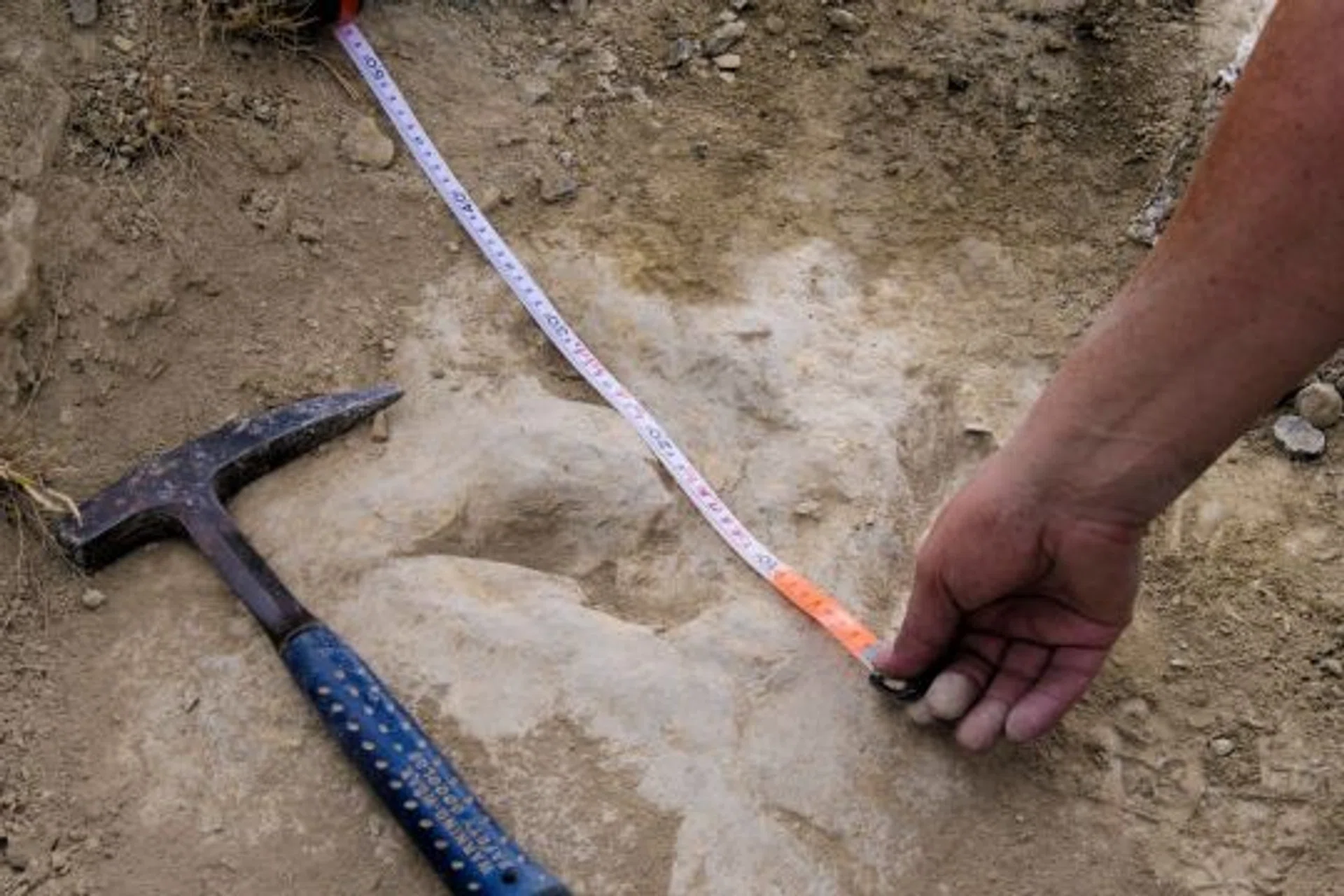 Researchers measure a fossilized dinosaur footprint made about 120 million years ago in the La Rioja region in Spain.