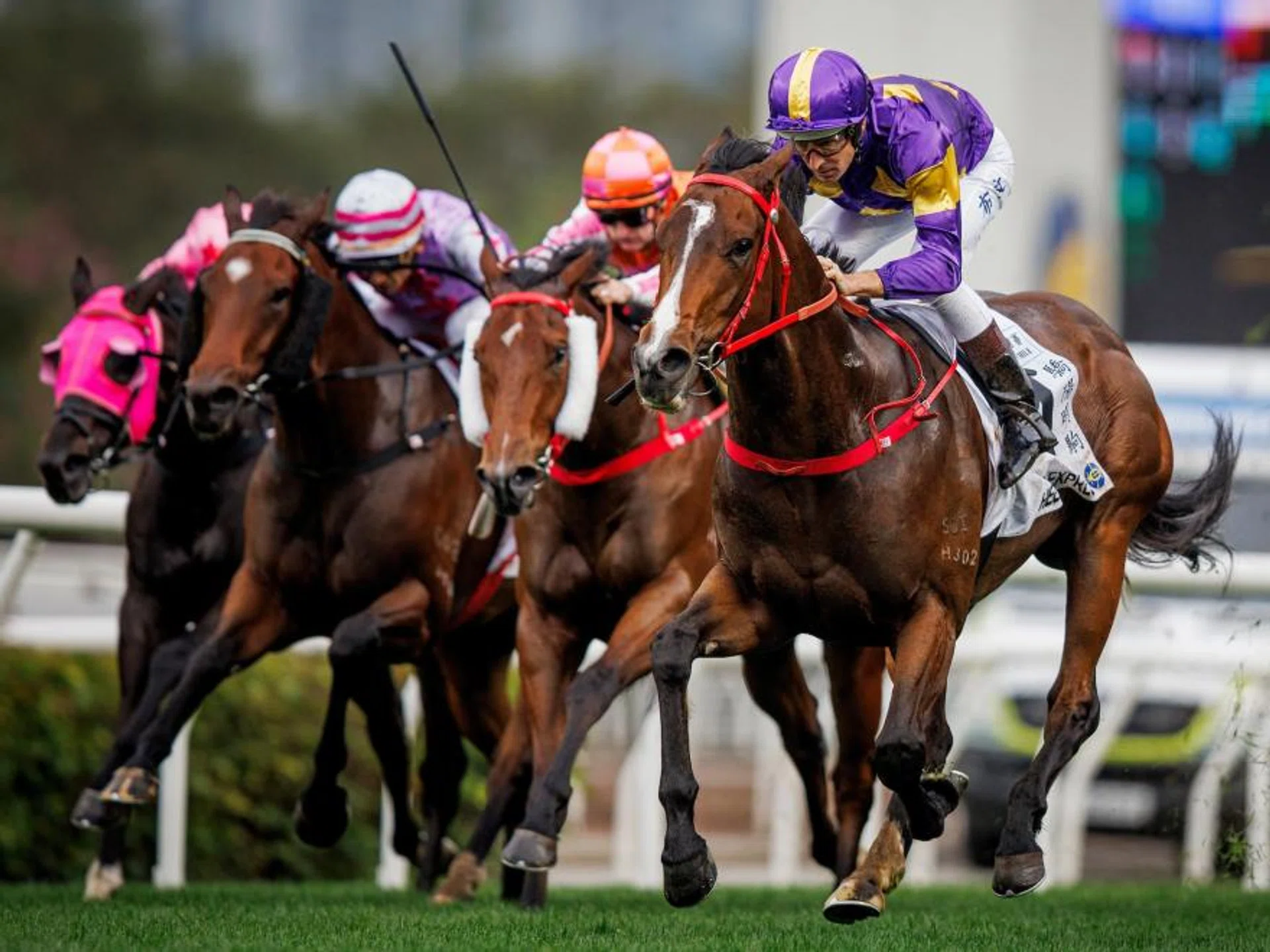 The John Size-trained Helios Express (Hugh Bowman, in purple silks) landing the Hong Kong Classic Mile (1,600m) at Sha Tin on Feb 4.