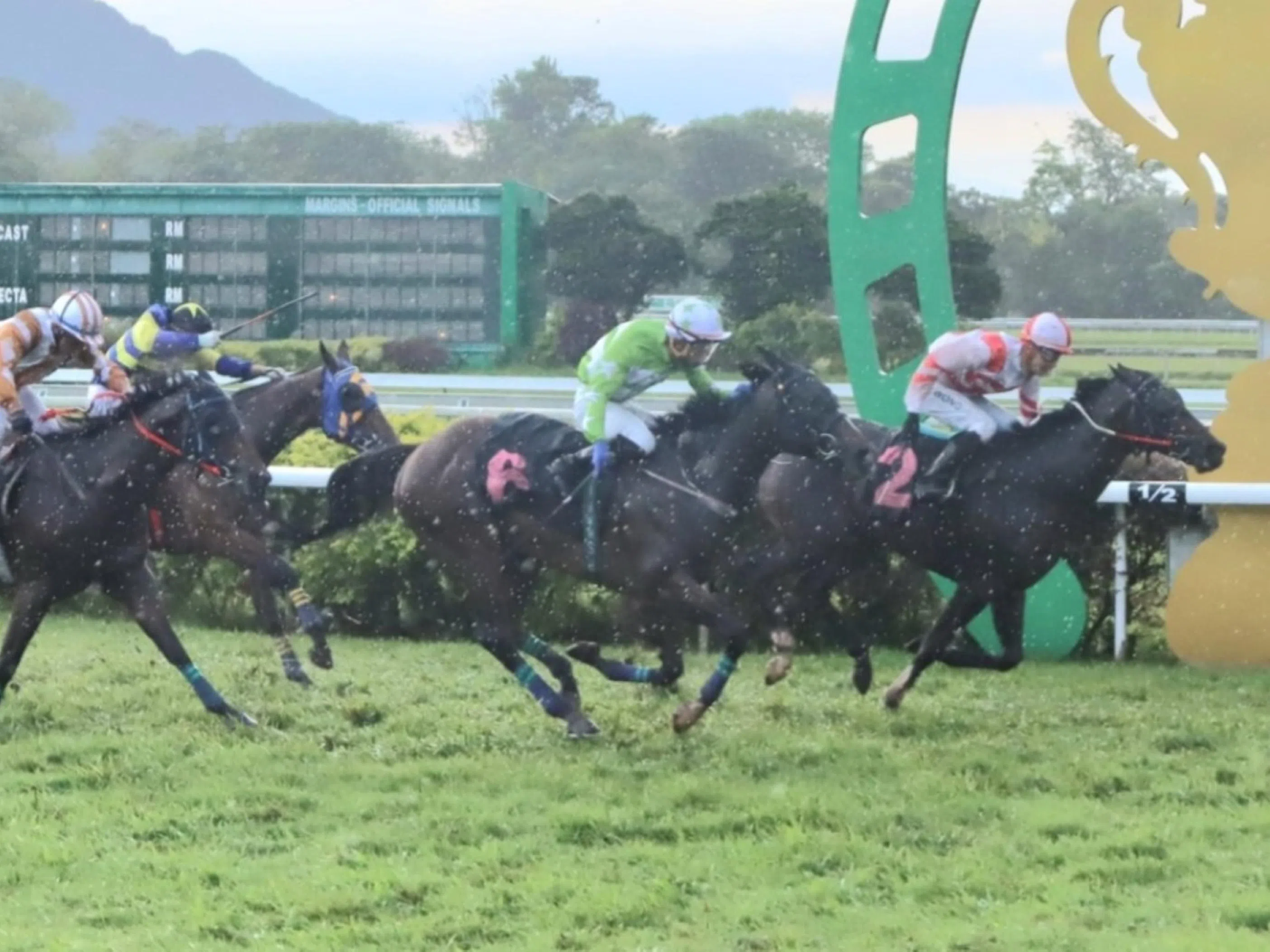 Brandenburg Fights To Win for new boss