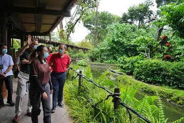 Help for companies in tourism, lifestyle to bounce back