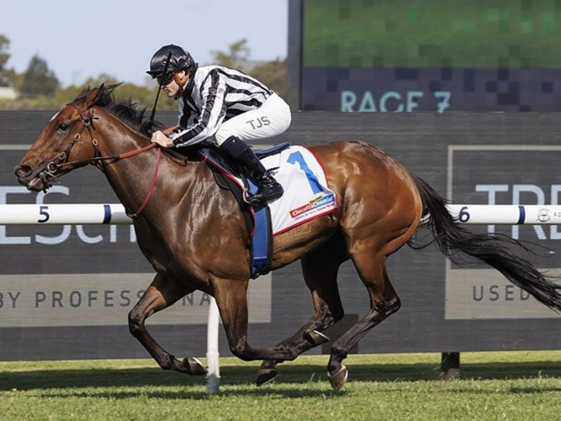 Sydney raider Belclare has won his last two starts with jockey Tyler Schiller, but it will be Nash Rawiller who takes over in the Group 1 Railway Stakes (1,600m) at Ascot on Nov 23.

