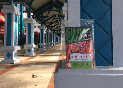 Find a piece of Singapore literature and bring it home
