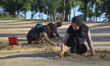 Singapore's urban and island foragers find food in the wild