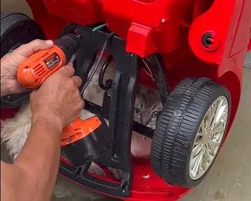 Cat freed after being stuck in toy car in Woodlands