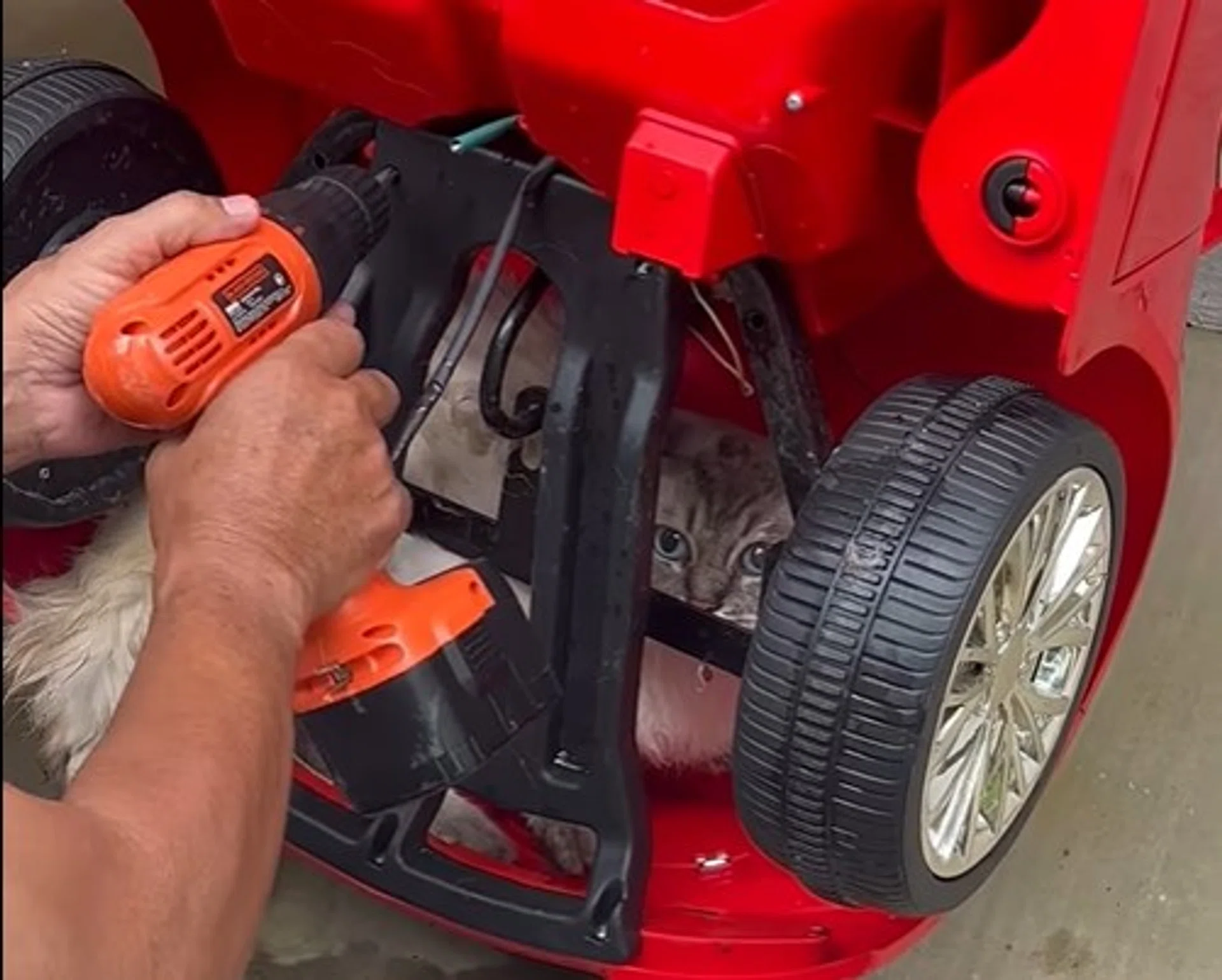 The cat was trapped in a toy car near a rubbish chute.