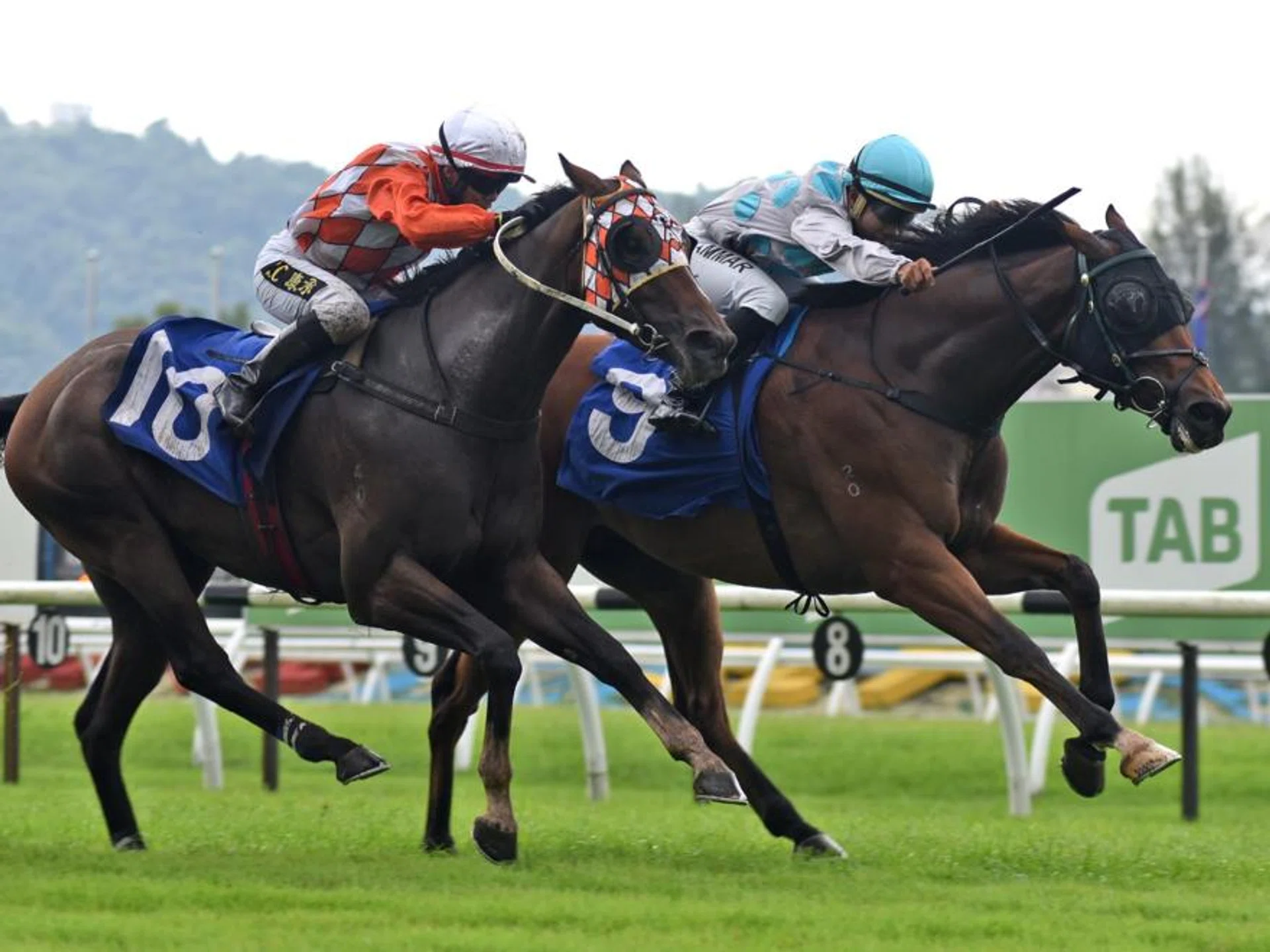 So We Fight (Tuan Ammar) making it two wins in a row at his last start on Dec 1. He looks set for a hat-trick on Dec 22 judging by his workout. 
