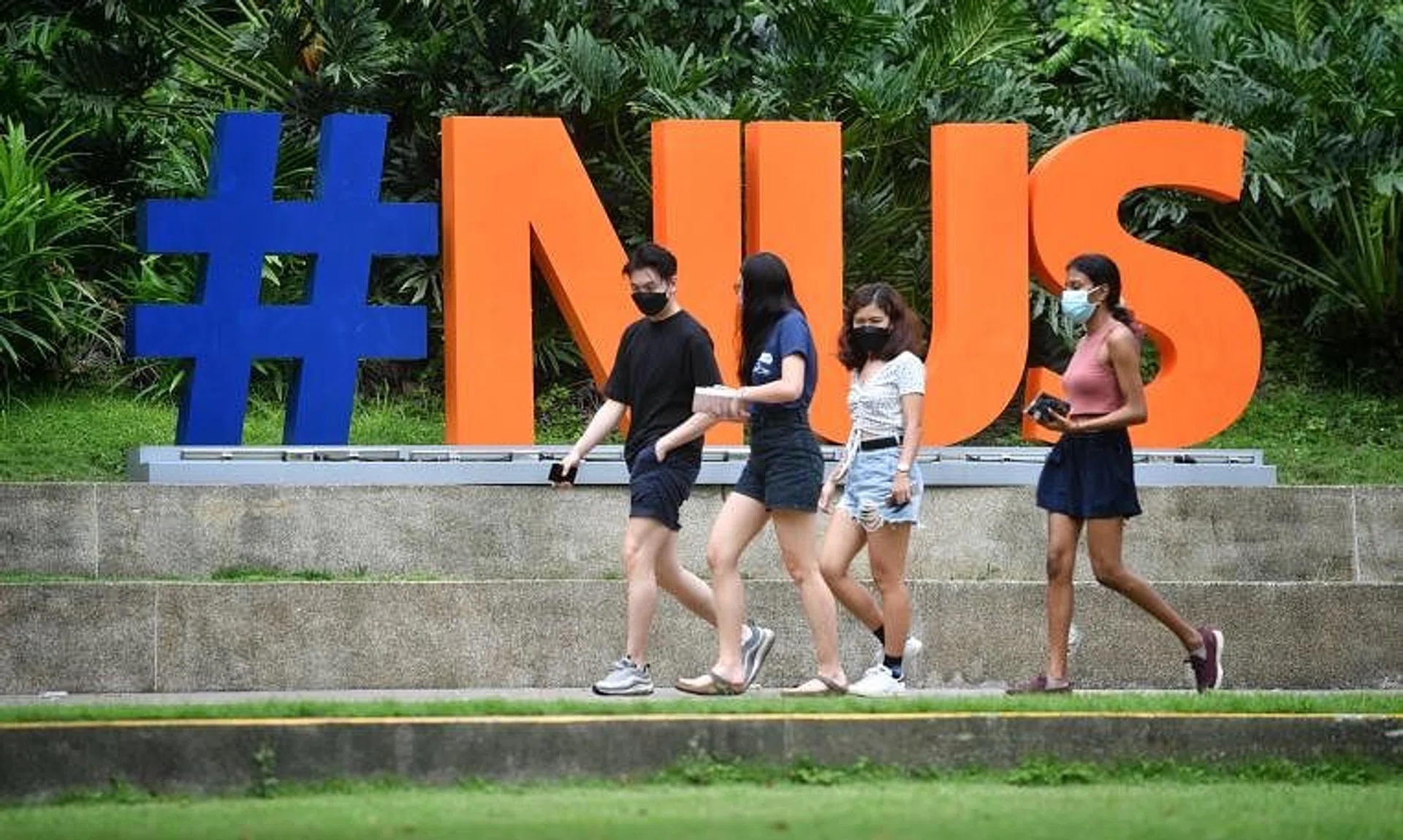 The new visitor programme will be up and running for the summer vacation season from late July 2024. 