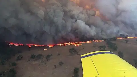 Evacuation order given as bush fires rage across NSW