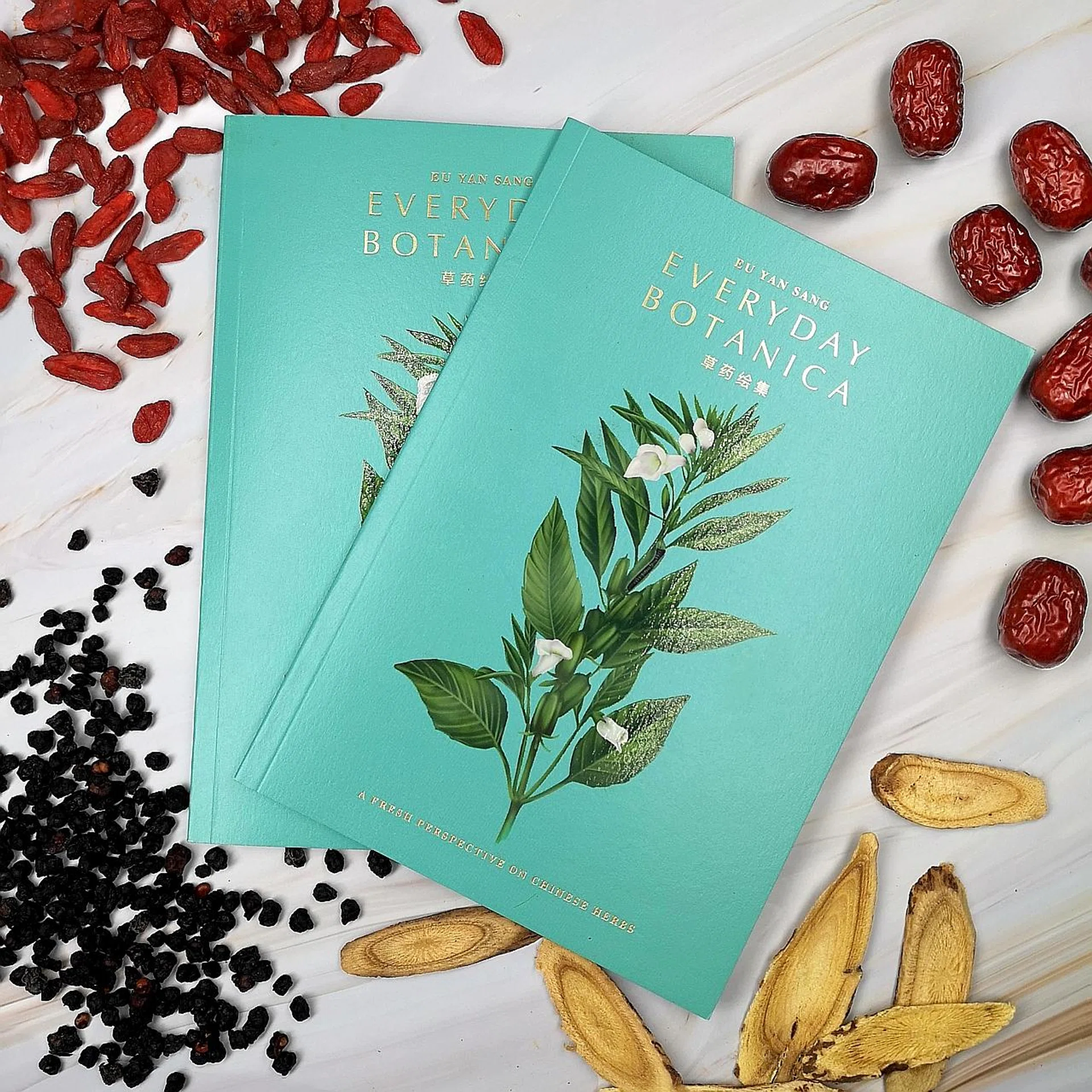 The Everyday Botanica Herb Handbook. 