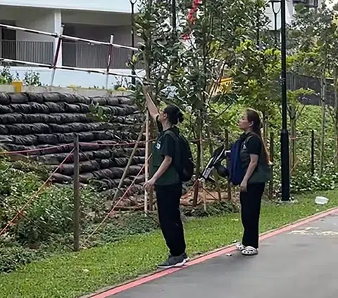NParks contractors using water gel blasters to drive the monkeys out of an HDB estate in Punggol on Aug 2.