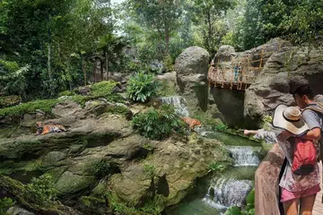Construction boss jailed over $611K zoo bribery scheme