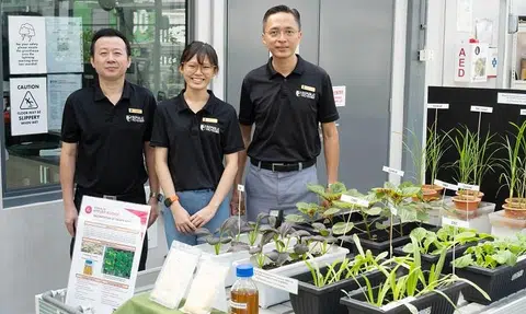 Researchers turn okara meant for landfill to crop booster