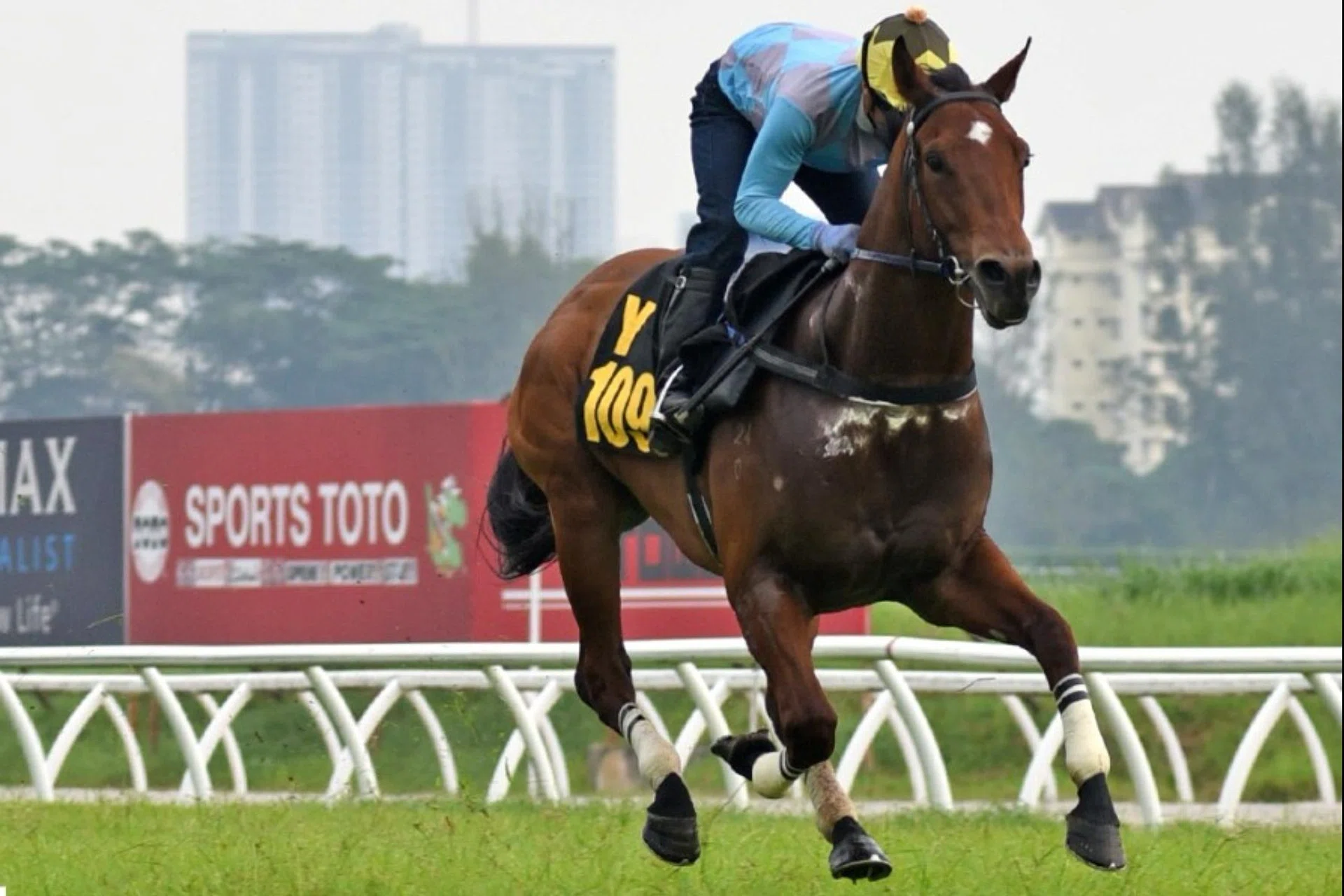 Our Jet (Andre da Silva) easily winning his only trial on July 22. He will make his Malaysian debut on Aug 24.