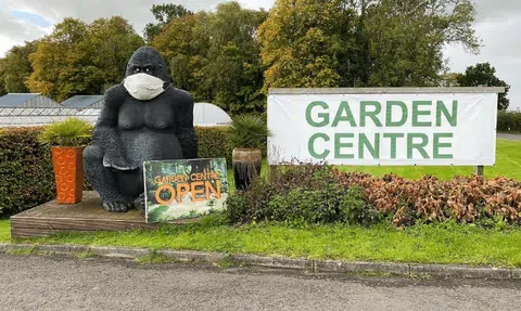 Going ape over stolen gorilla statue: Owner in Scotland uses social media to 'Bring Gary Home'