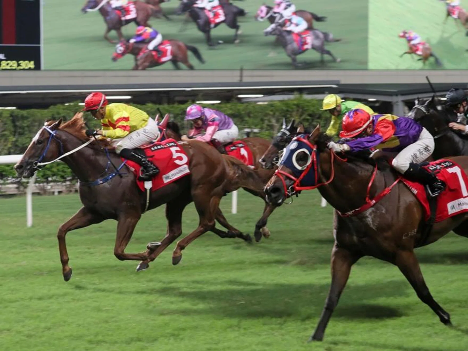 Capital Delight (Vincent Ho, No. 5) dead-heating with Lucky Archangel (Angus Chung, No. 7) in the Hong Kong Country Club Challenge Cup (1,200m) at Happy Valley on Oct 4, 2023. Andrea Atzeni will team up with Capital Delight in the Pak Tam Chung Handicap (1,200m) at Sha Tin on Jan 5.
