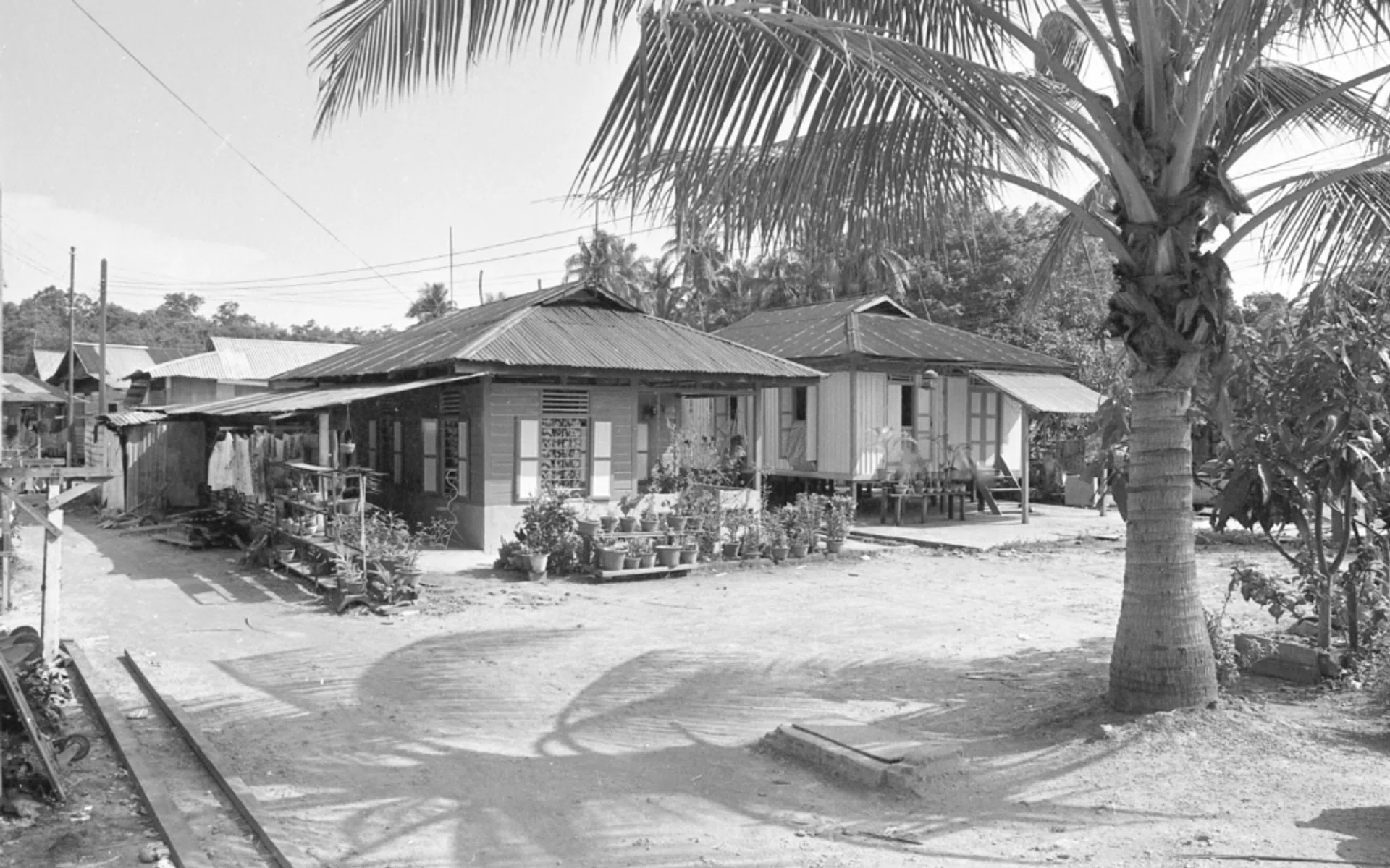 Kampong Wak Sumang in 1984.