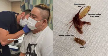 DJ Justin Ang gets fly trapped in ear during New York holiday