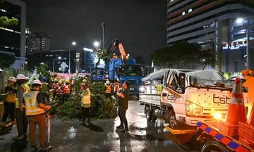 Fallen tree in Ophir Road pins car, crushes cab of pickup truck