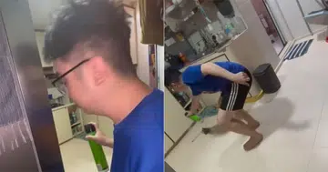 Brave S'pore couple kills 'flying monster' in kitchen