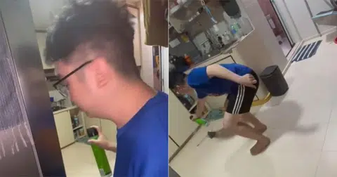 Brave S'pore couple kills 'flying monster' in kitchen
