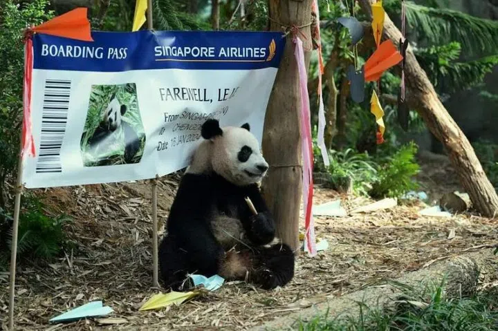 787