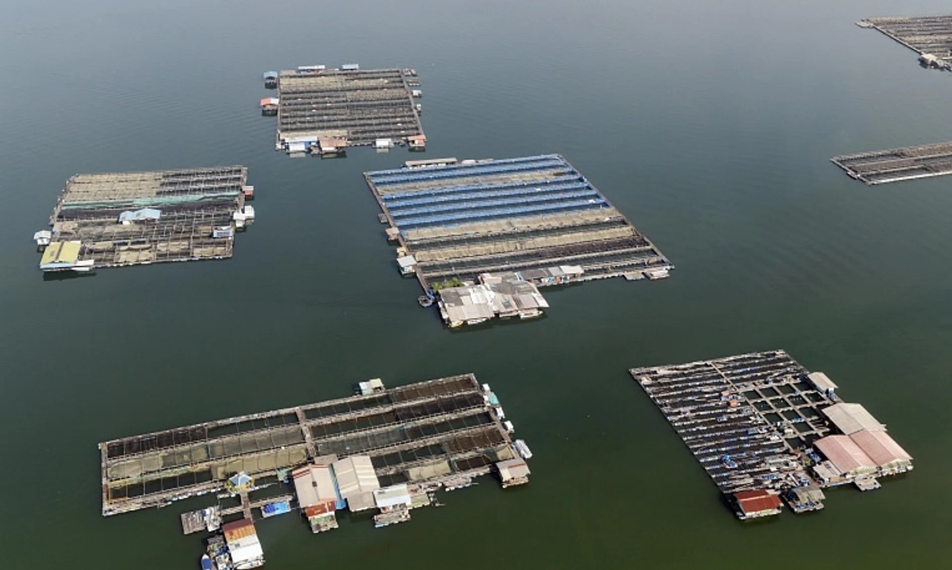 All of the sea-based fish farms currently in operation in Singapore are located in the Johor Strait. But farmers have expressed concern about deteriorating water quality.