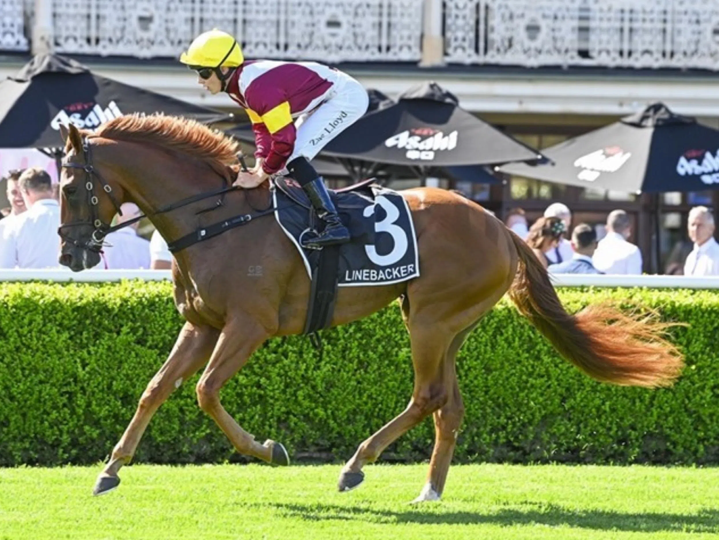 Linebacker is Charlton's 1st Group 1 winner