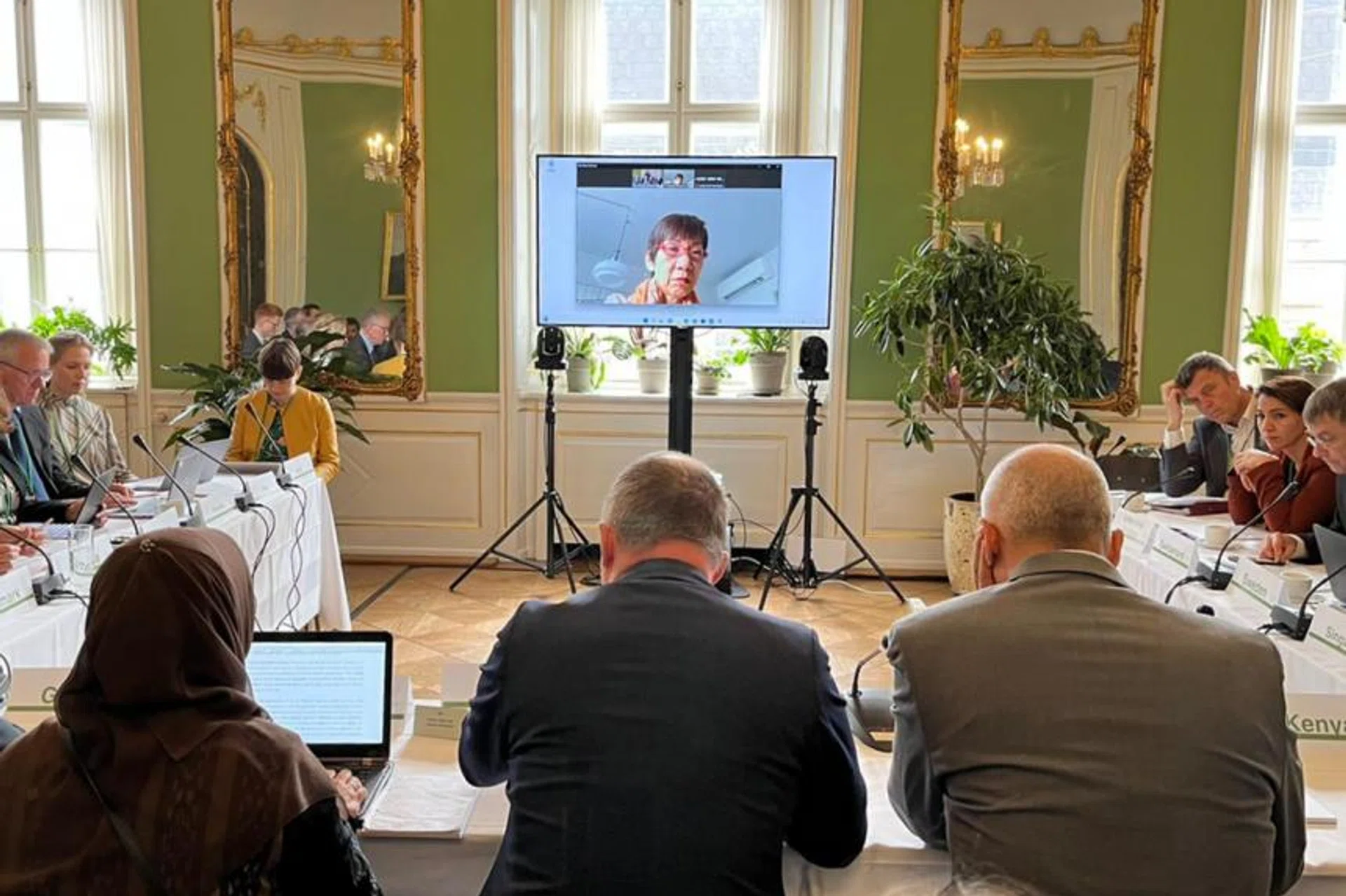 Minister Grace Fu said she still managed to attend a ministerial meeting on climate change via Zoom.