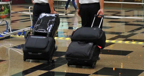 Dog flies undetected from HK to Japan in owner's luggage