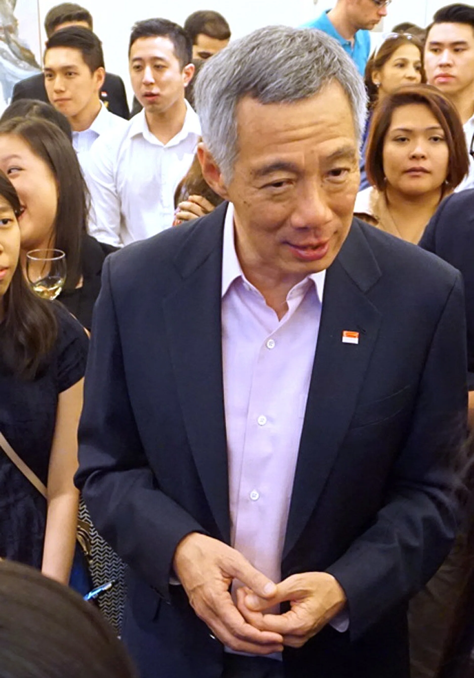 AT ODDS: Dr Lee Wei Ling and Prime Minister Lee Hsien Loong (above). 