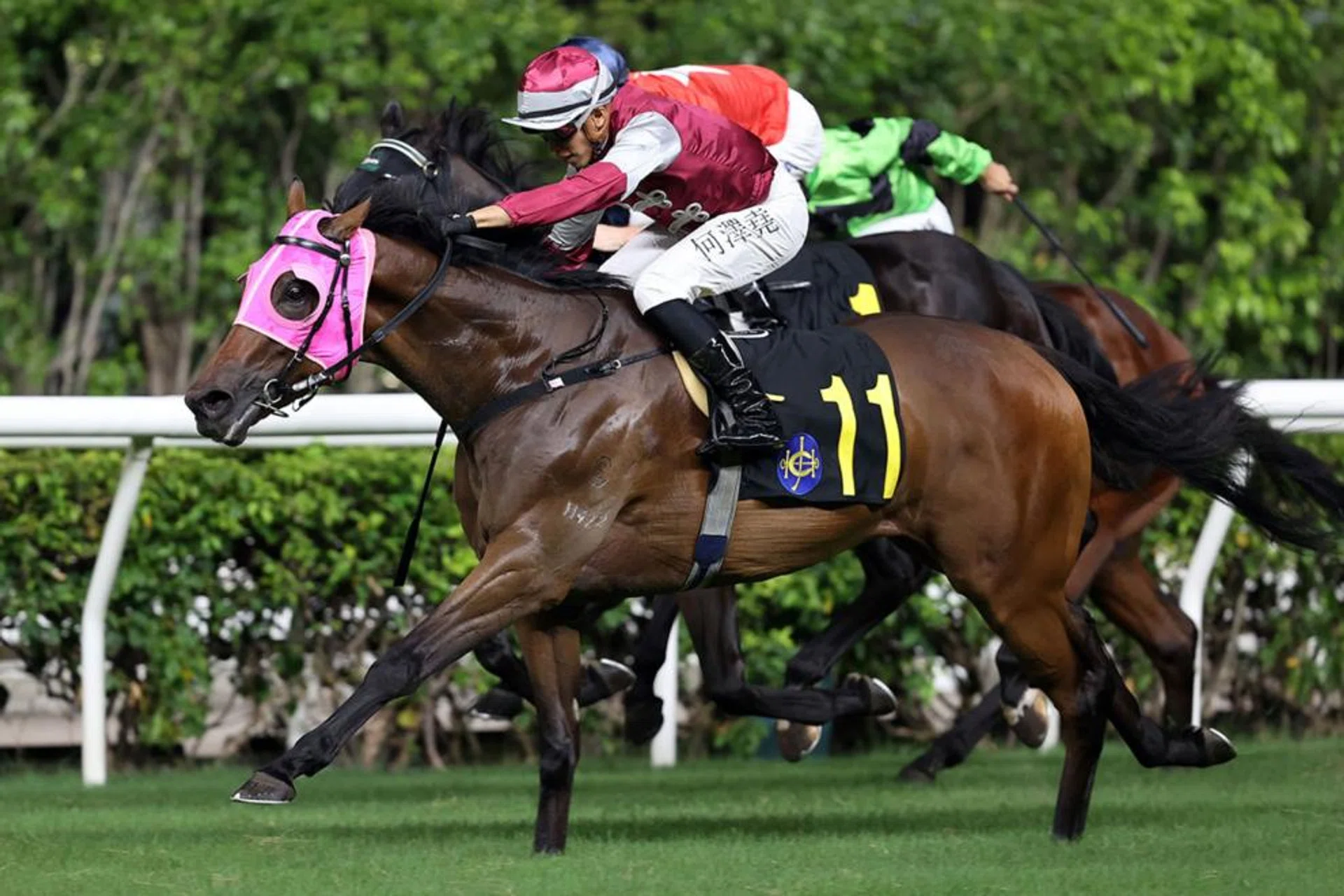 Matsu Victor (Vincent Ho) winning over the Happy Valley 1,650m on Sept 11. He can seal a double on Sept 25. 