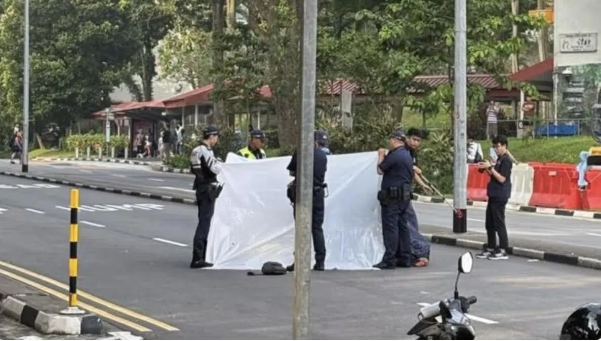 Elderly man dies in Holland Village accident; 74-year-old driver arrested