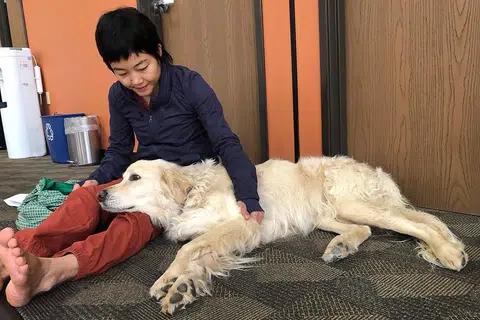 Fur Folks Home - Singapore's first sanctuary for ageing, ill pets