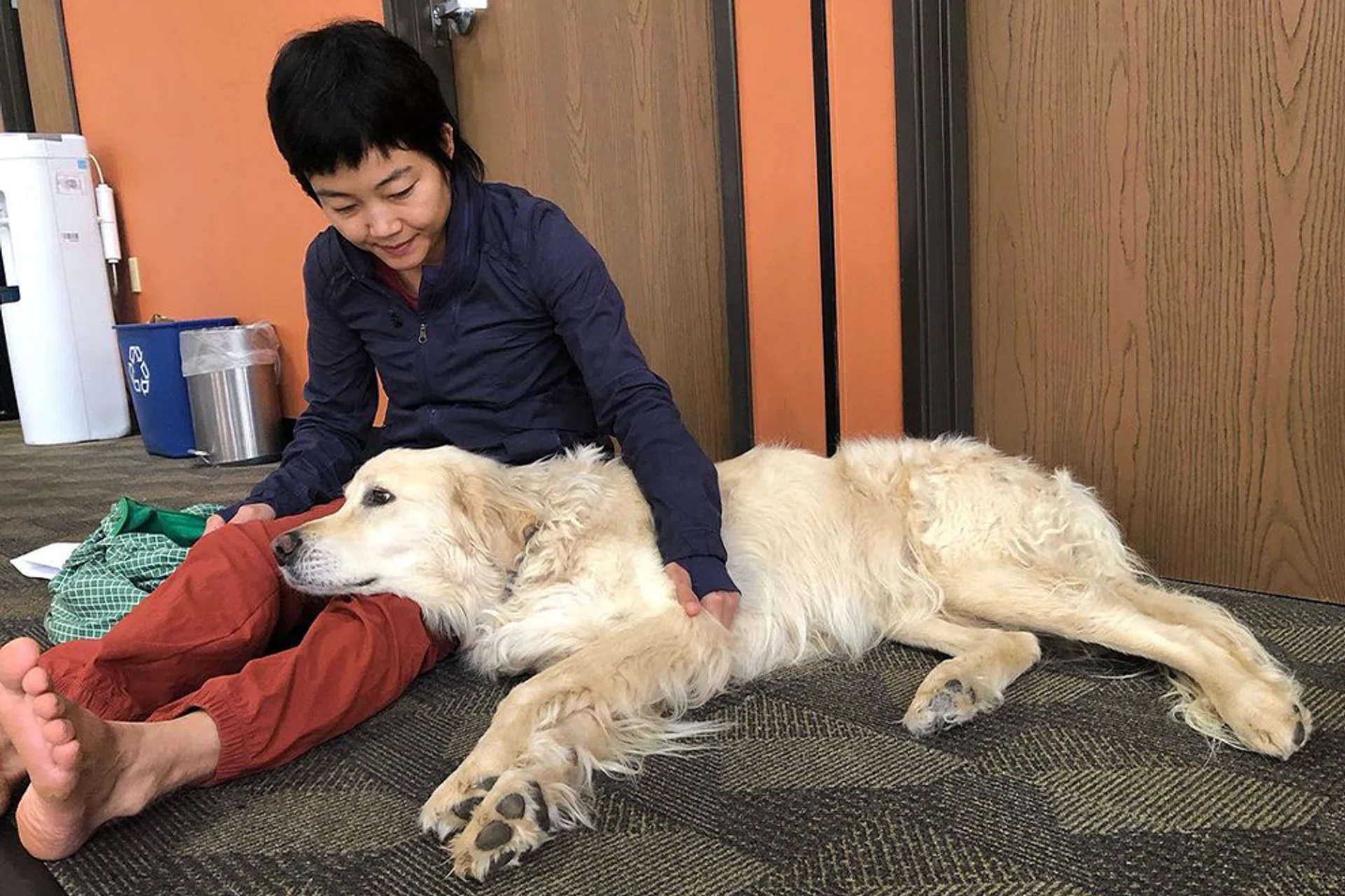 Dr Angeline Yang will be opening the first hospice and daycare pet centre in Singapore next month.