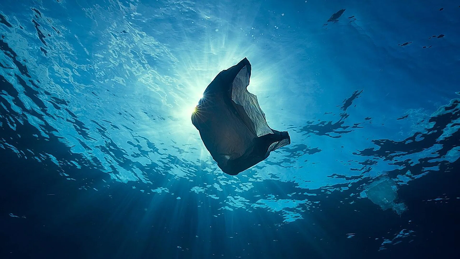 A plastic bag floating in the ocean in a screen grab from BBC's Blue Planet.