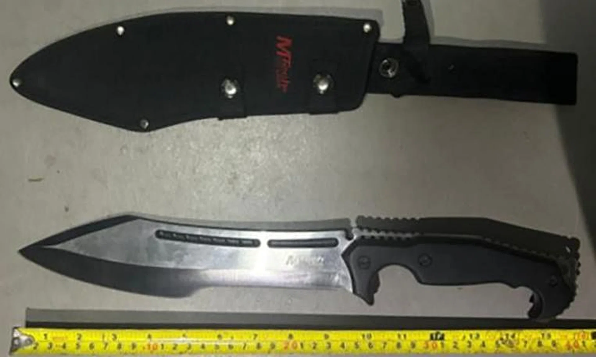 A 19-year-old suspected drug addict allegedly charged at a Central Narcotics Bureau officer with a knife on Feb 19 in an attempt to evade arrest.