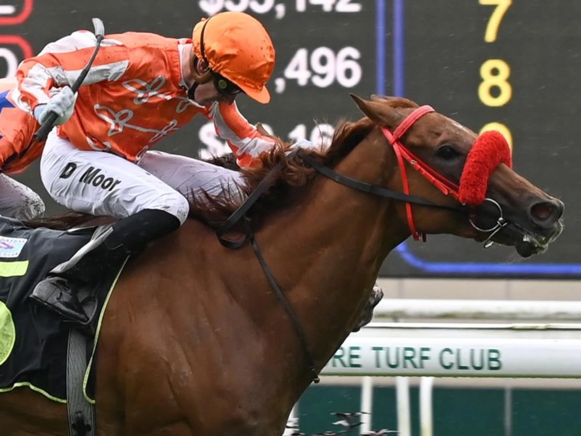 Australian jockey Daniel Moor, who saluted aboard Pacific Gold on June 1, has been entrusted with the job of steering the Jason Ong-trained Pacific Star home in the final event, a Class 4 1,400m contest, on June 9. 