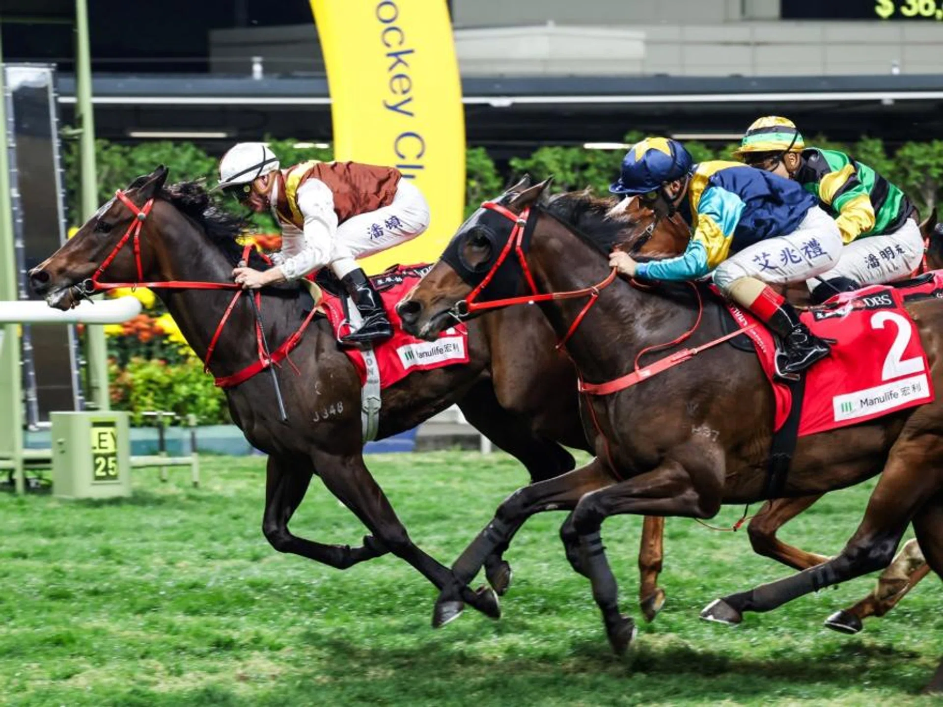 View Of The World crossing the line first in the last race at Happy Valley on Jan 22 to hand jockey Zac Purton the absolute record of most winners, 1,814, by a jockey in Hong Kong.
