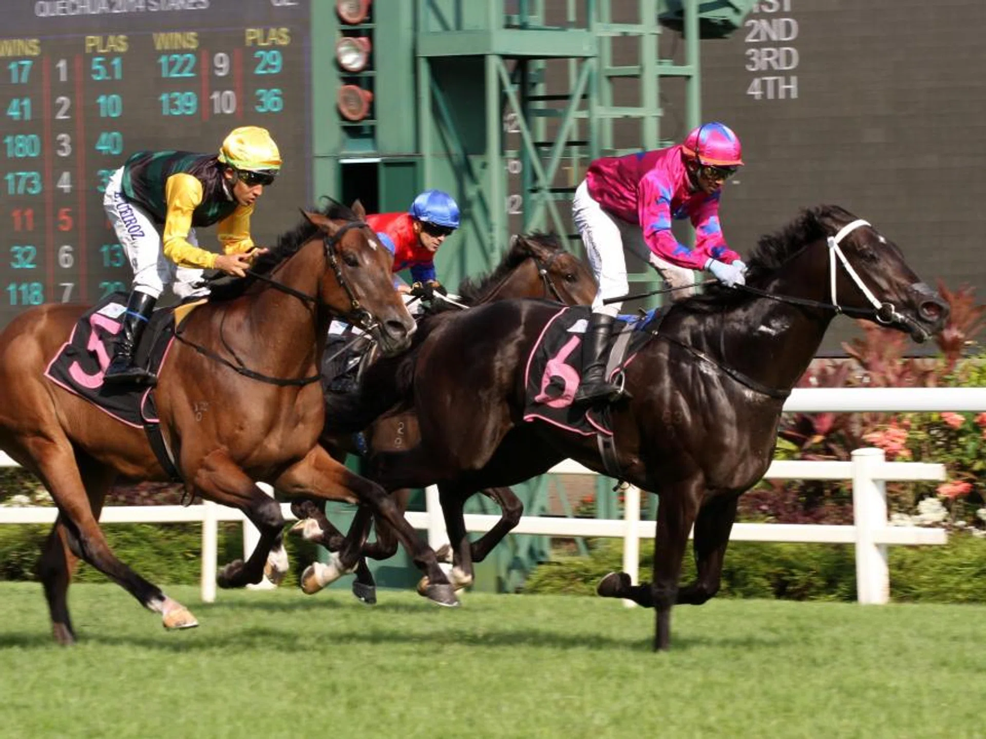 Ace Of Diamonds (Krisna Thangamani) winning a Novice race (1,400m) on Nov 11. Bruno Queiroz finished second on Silo that day, but he will ride Ace Of Diamonds in the Group 3 Singapore 3YO Sprint (1,200m) on April 6.