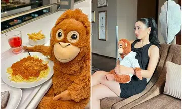 'Parenting' stuffed orang utan from Ikea trending among millennials and Gen Zs in China