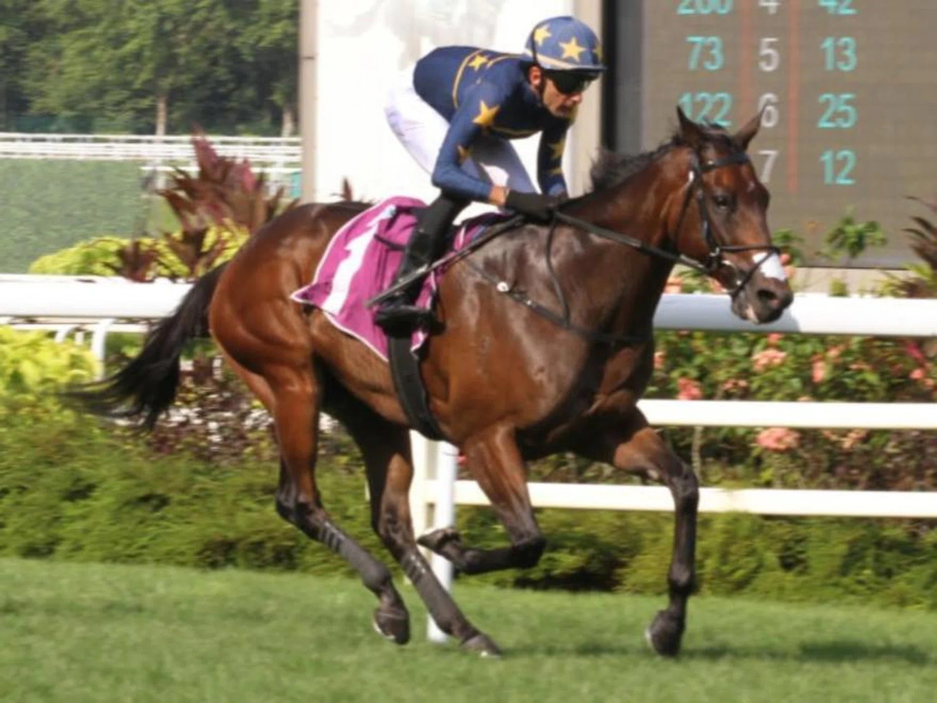 Singapore champion Lim's Kosciuszko (Marc Lerner) posting an easy win in the Group 1 Lion City Cup (1,200m) at Kranji on July 28.
