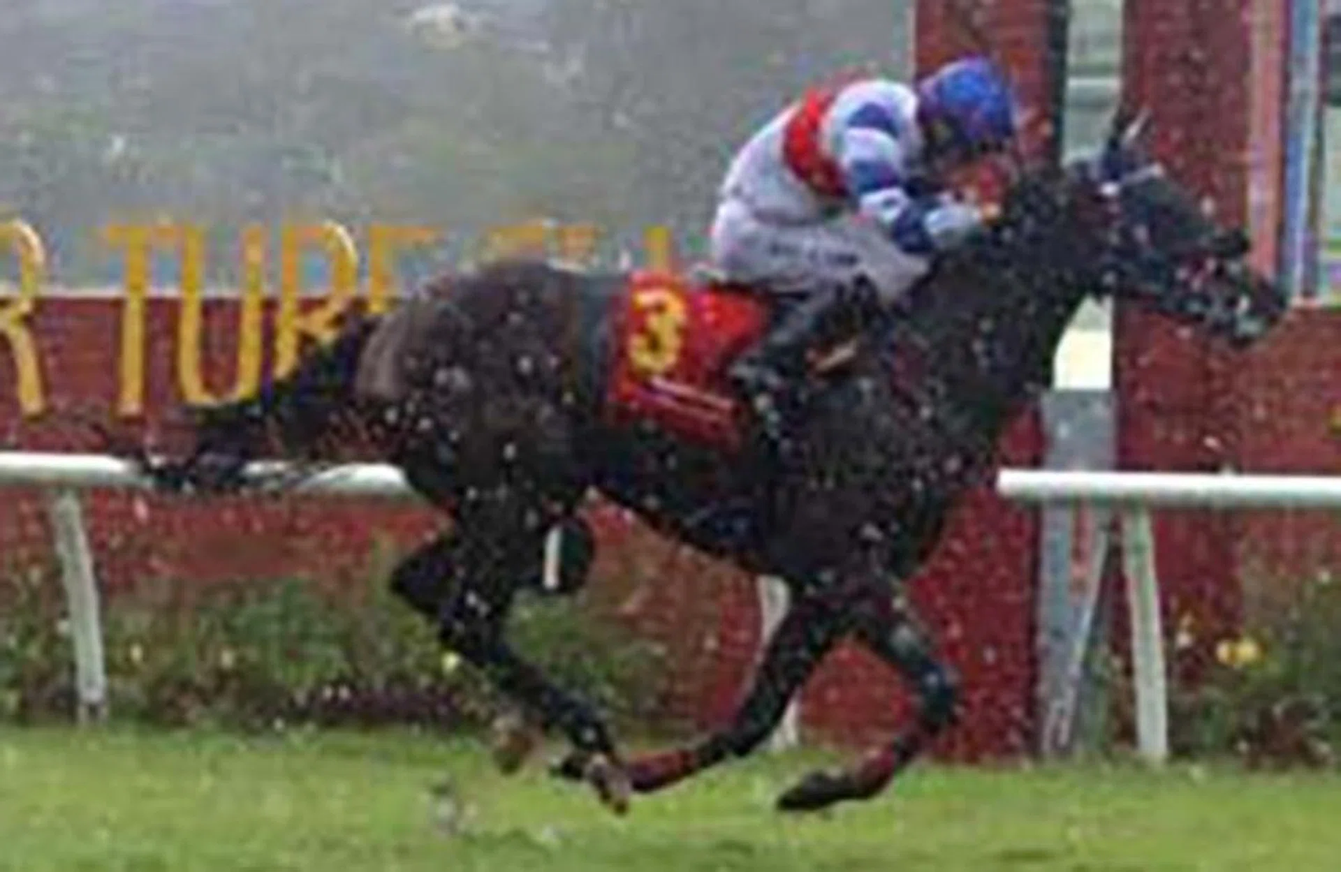 Arigato (Lim Shung Uai) winning the Sungai Besi Autoworld Cup over 1,200m in Kuala Lumpur on Dec 22. 