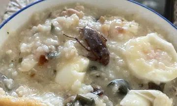 Horrified to find cockroach in porridge from Tampines outlet